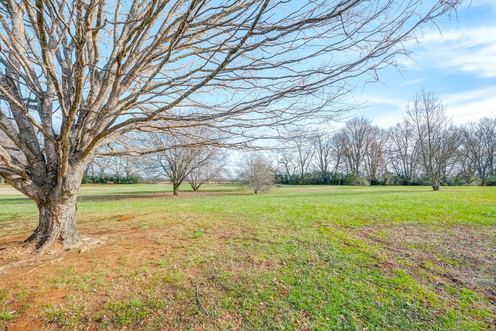2421 Zion Road Columbia, TN 38401 - Photo 40 of 40 Gallery Image 40