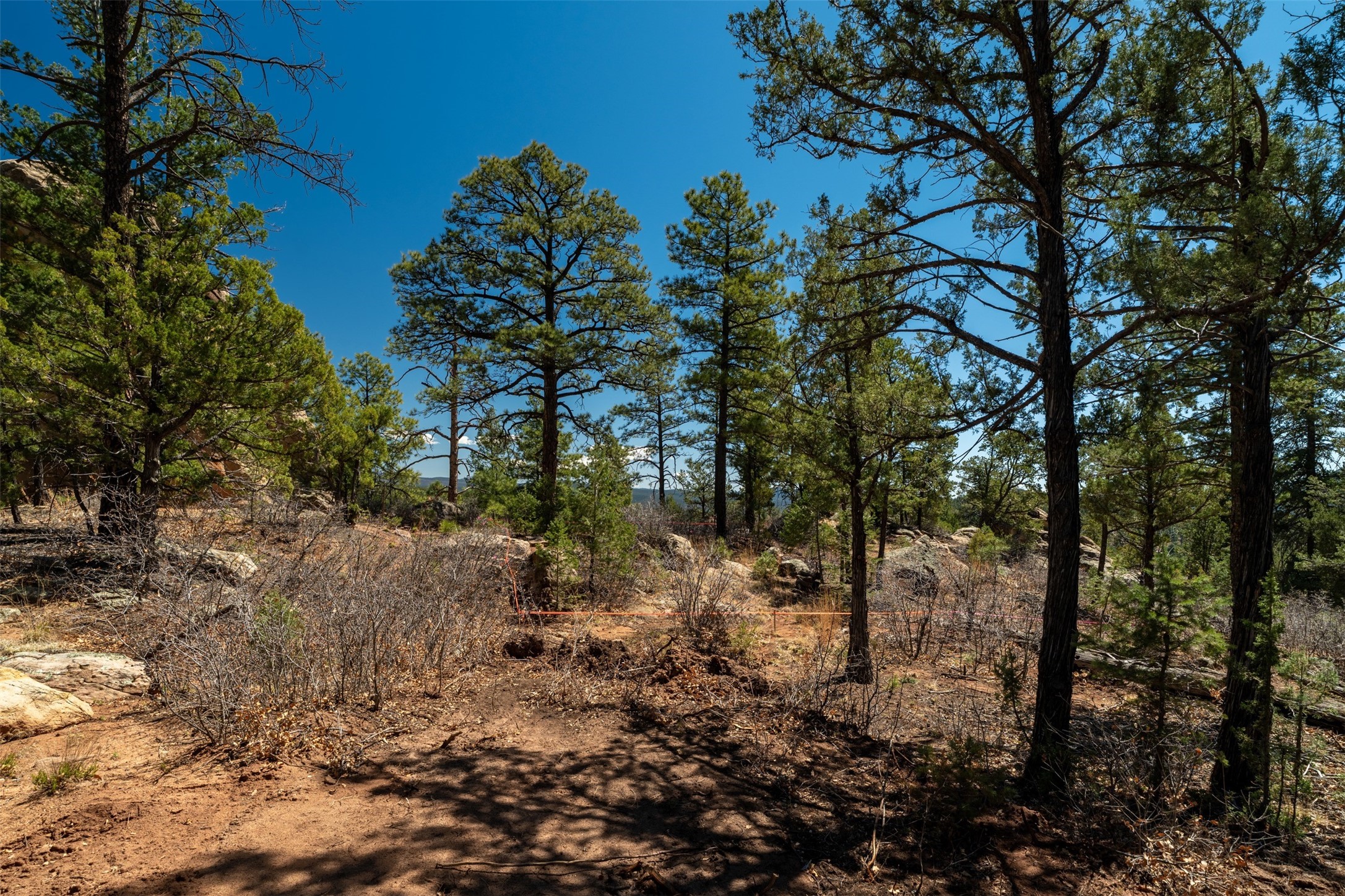 30 Monte La Cueva Road Glorieta, NM 87535 - Photo 5 of 91 Proposed home site