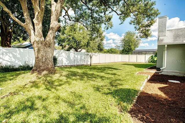 a view of a backyard with a large tree