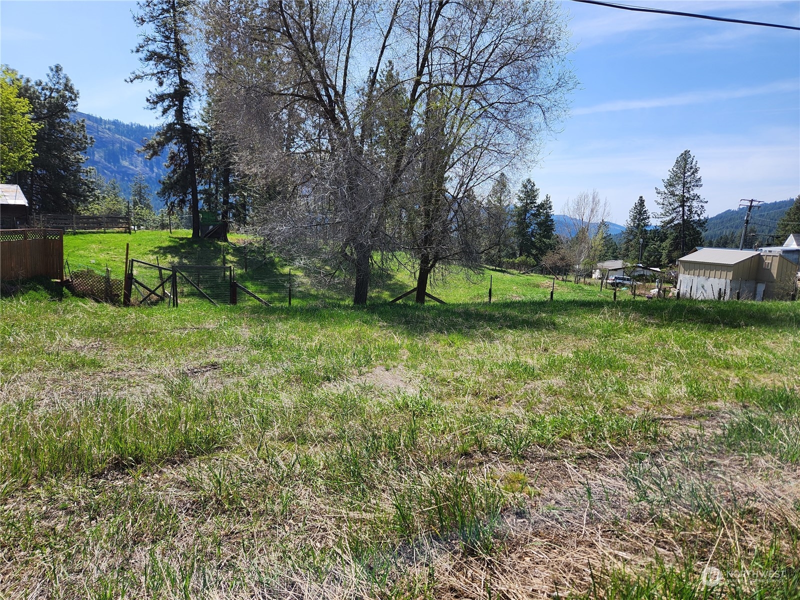 201 Tiger Lane Republic, WA 99166 - Photo 5 of 6 a view of a garden with large trees