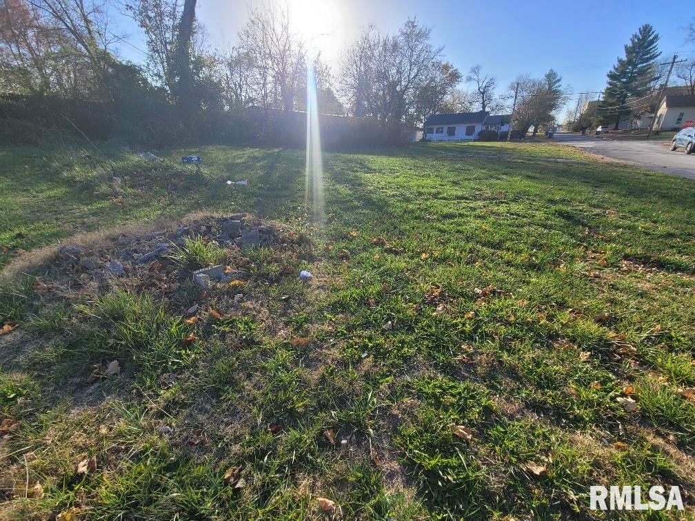 300 South 4th Street Mount Vernon, IL 62864 - Photo 3 of 10