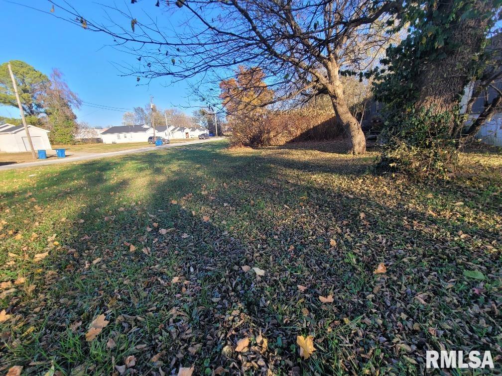 300 South 4th Street Mount Vernon, IL 62864 - Photo 6 of 10