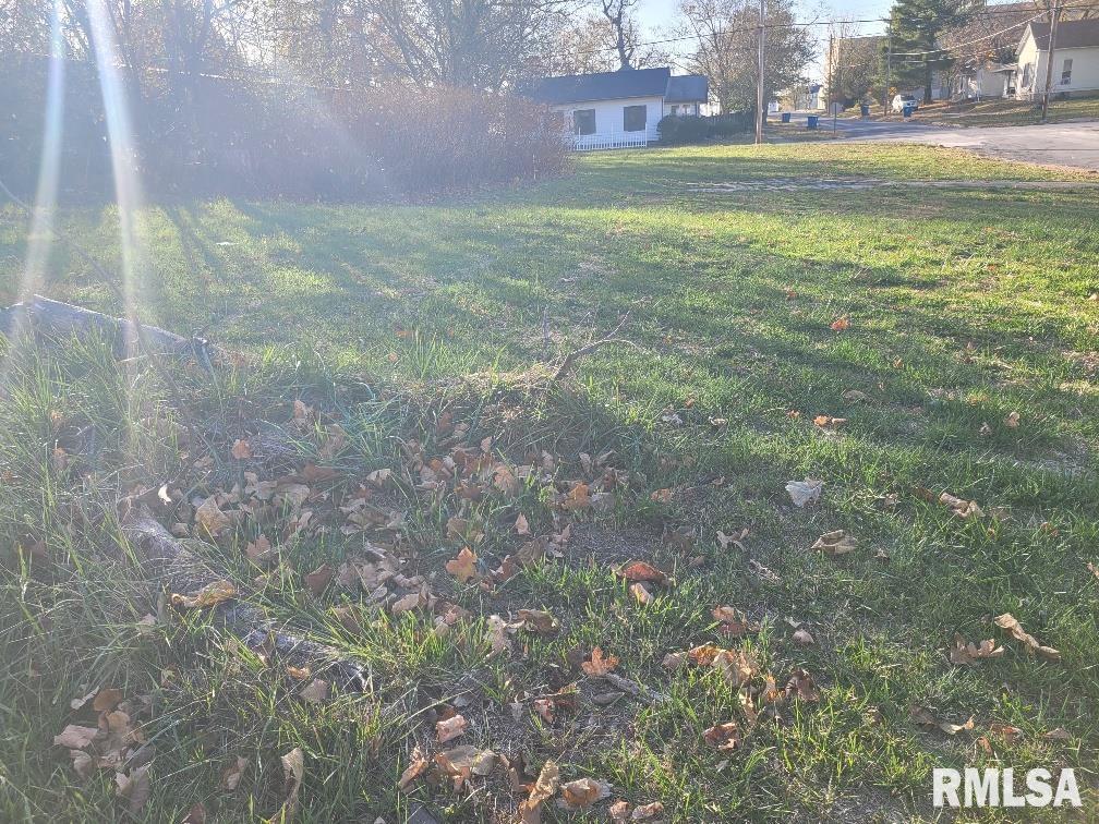 300 South 4th Street Mount Vernon, IL 62864 - Photo 9 of 10