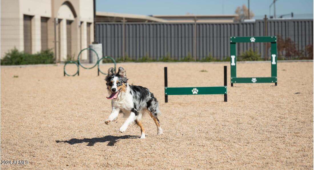 1441 East Germann Road, Unit 1 Chandler, AZ 85286 - Photo 20 of 22 Dog Park