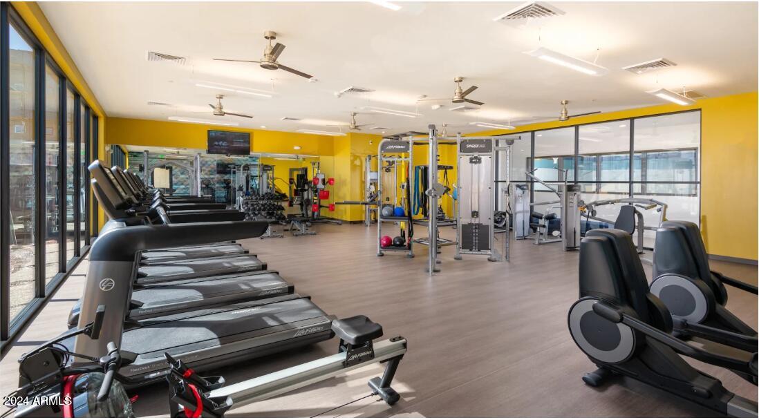 1441 East Germann Road, Unit 1 Chandler, AZ 85286 - Photo 8 of 22 Fitness Center