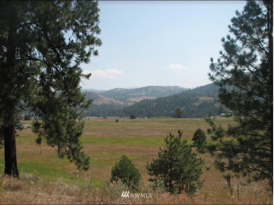 9 Deer Lake Road Republic, WA 99166 - Photo 14 of 16