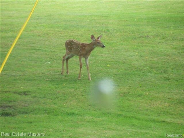 7417 Phillips Road North Street, MI 48049 - Photo 20 of 20 PHILLIPSRD7417FAWN.jpg