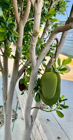 $264,500 | 46618 Madison Street, Unit 98, Indio, CA 92201