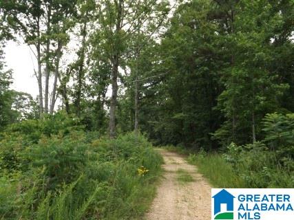 0 Beaver Ridge Drive, Unit 42 48 Ashville, AL 35953 - Photo 3 of 26