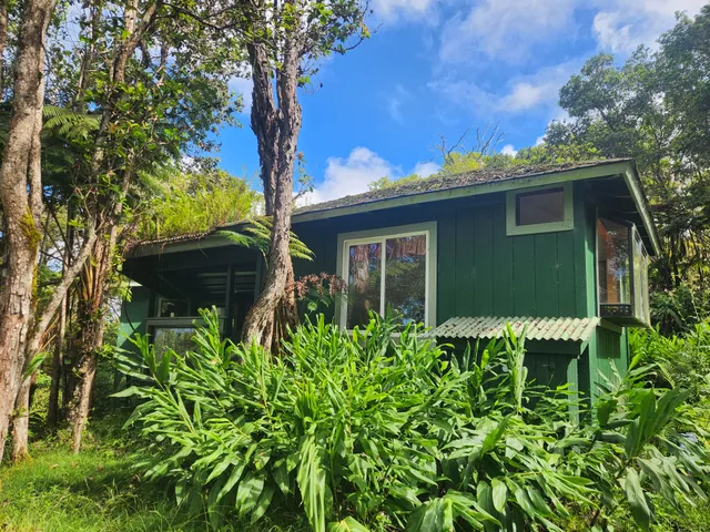 a view of a house with a small yard and a large tree