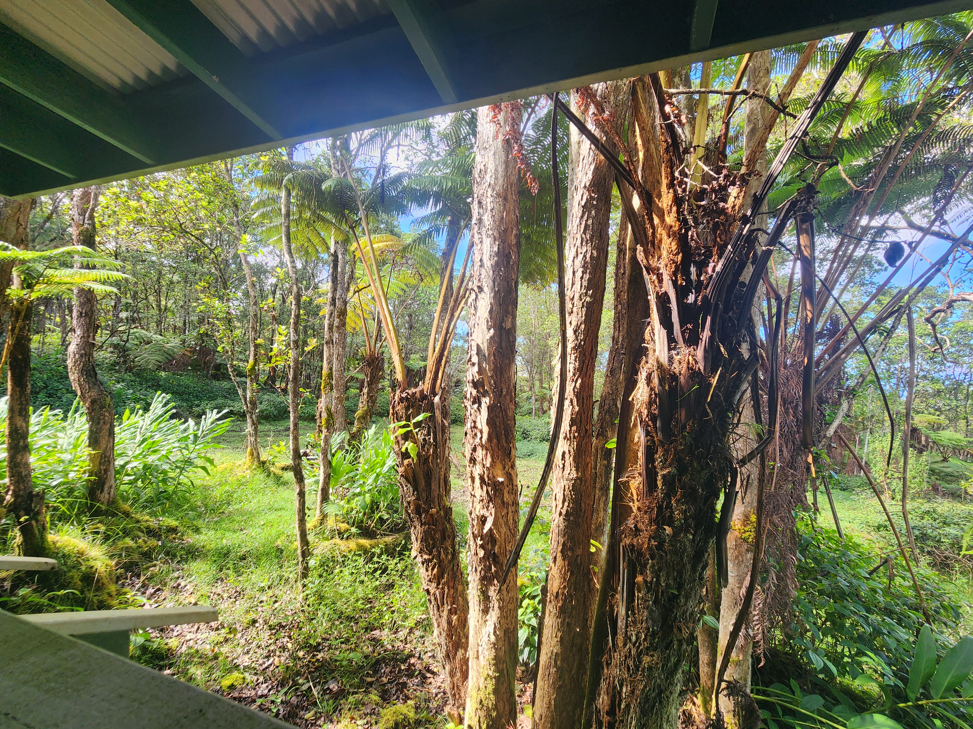 Mamalahoa Highway Captain Cook, HI 96704 - Photo 15 of 19