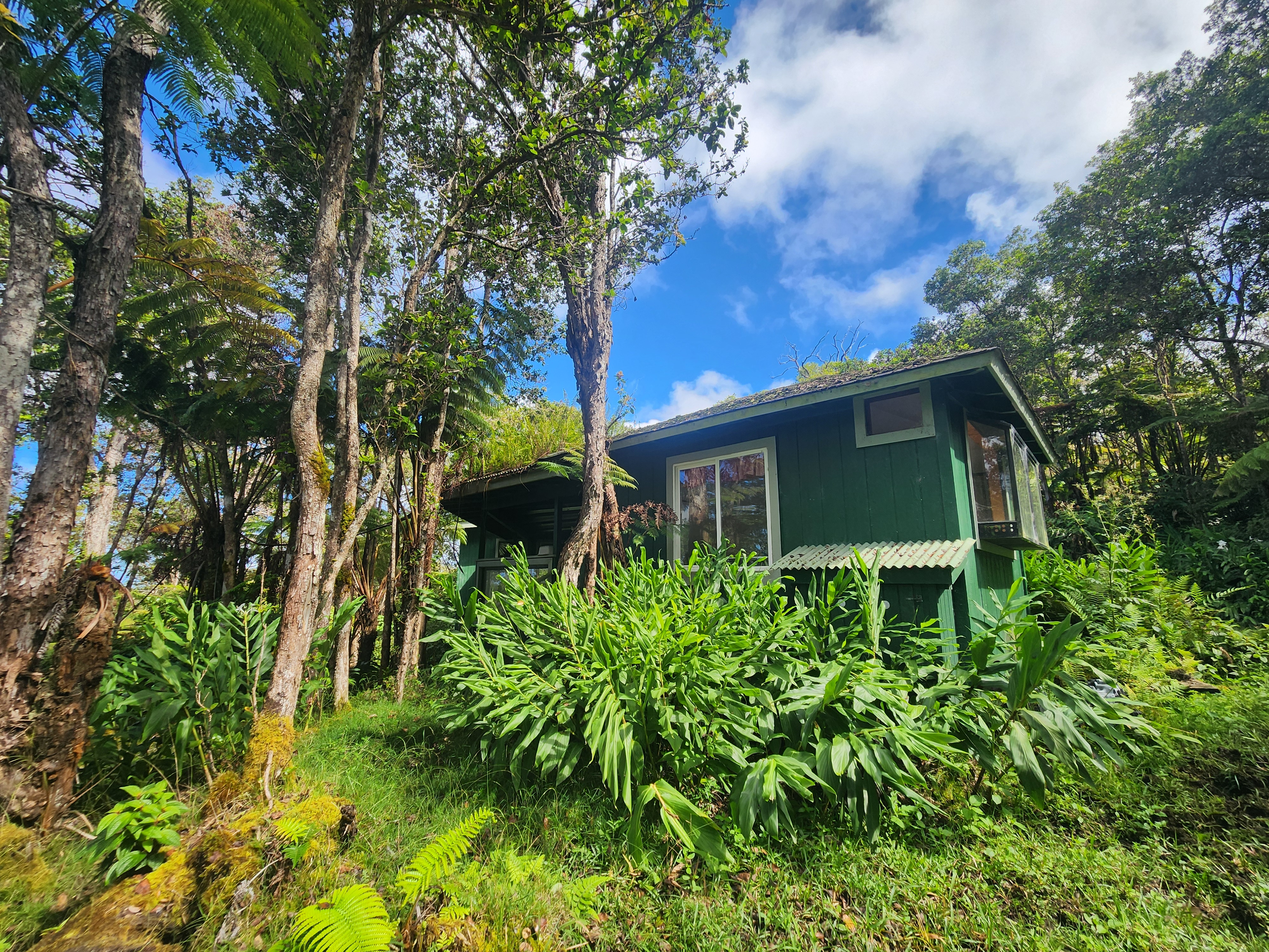 Mamalahoa Highway Captain Cook, HI 96704 - Photo 5 of 19 a front view of a house with a yard