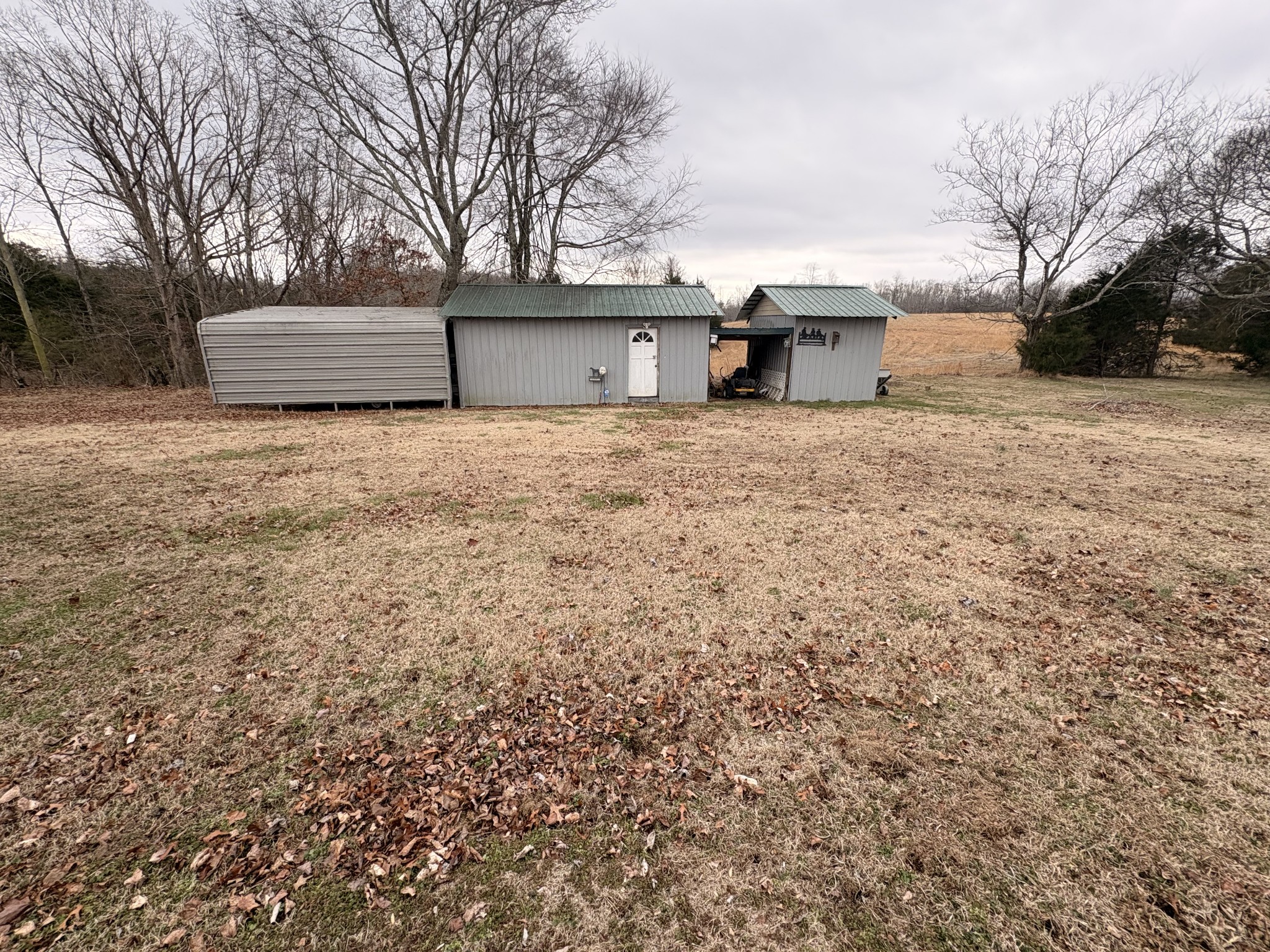 4454 Nancy Green Ridge Road Pulaski, TN 38478 - Photo 28 of 40 a front view of a house with a yard