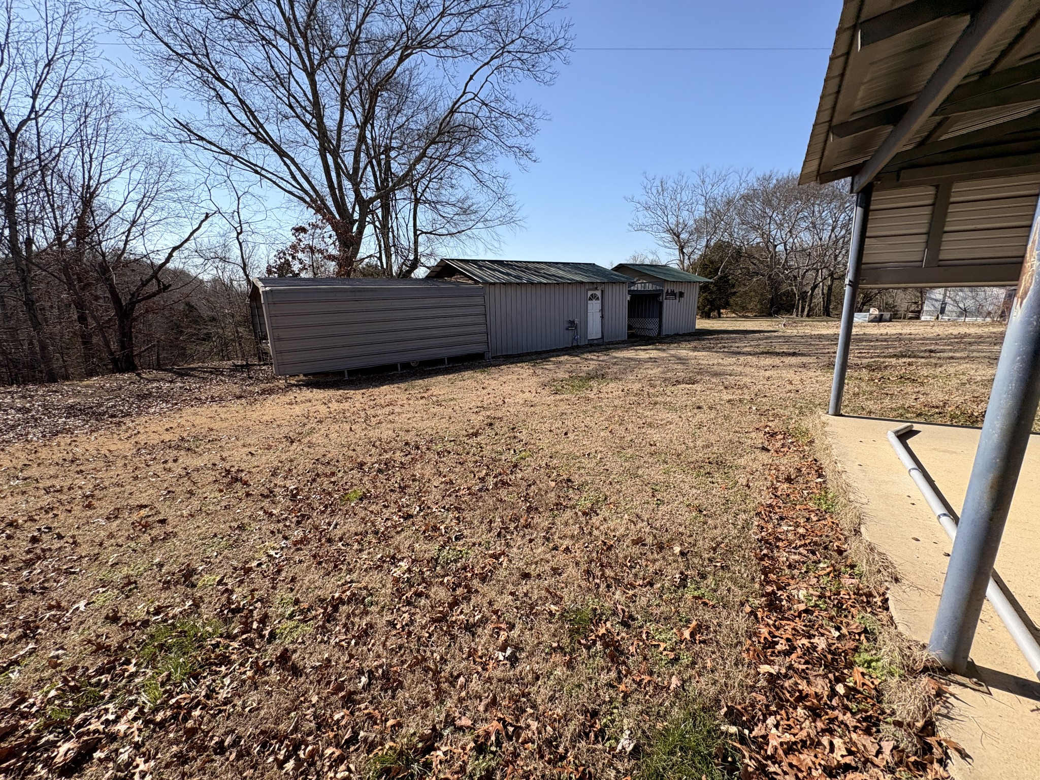 4454 Nancy Green Ridge Road Pulaski, TN 38478 - Photo 37 of 40 a yard covered with tall trees
