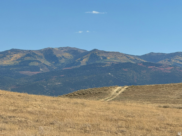 16875 East Race Track Road Moroni, UT 84646 - Photo 26 of 30