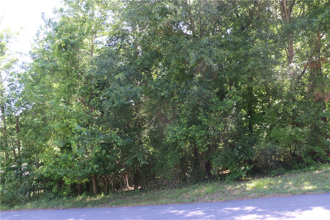 0 Cresta Verda Road Anderson, SC 29621 - Photo 2 of 2