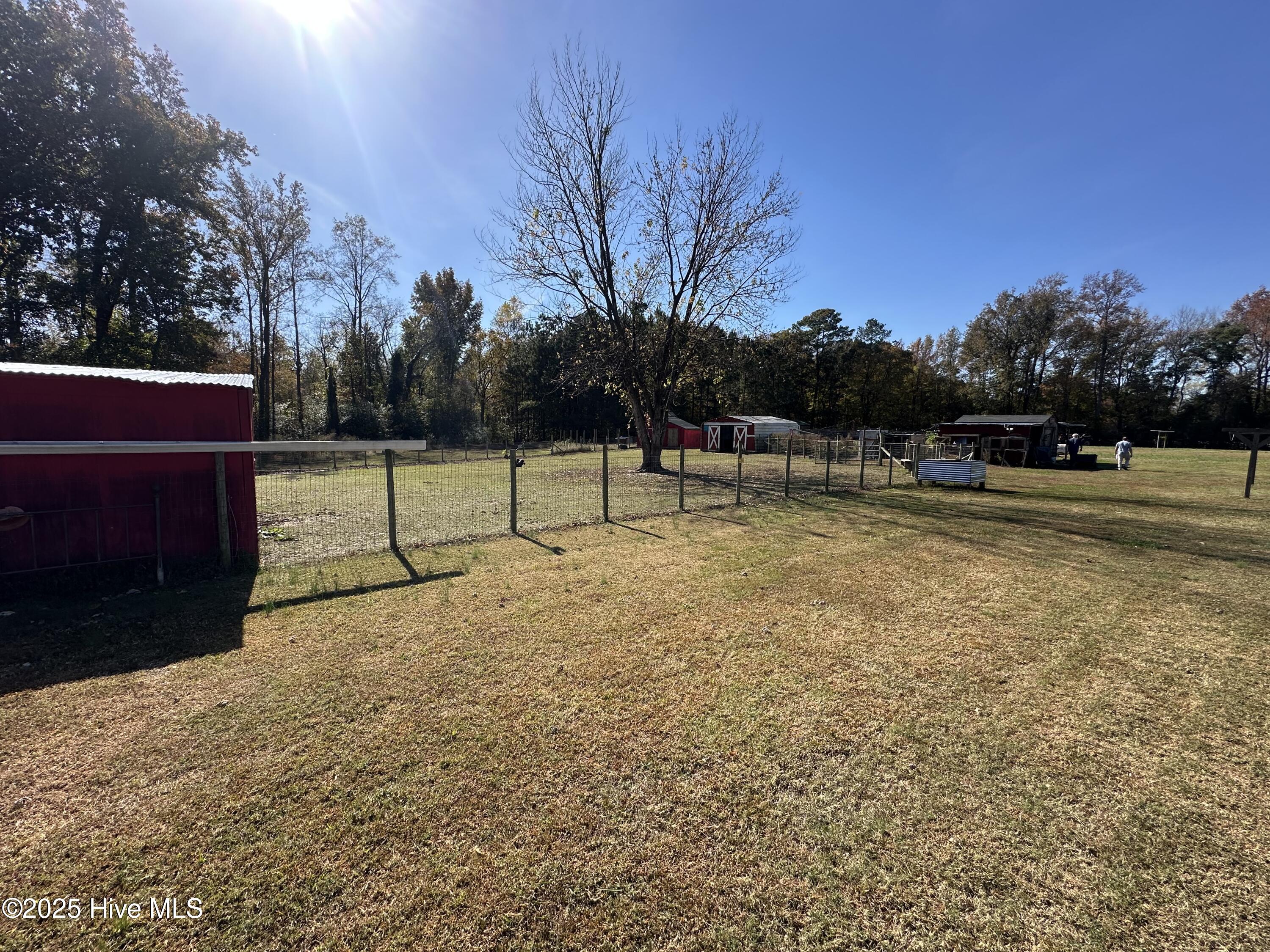 397 Spivey Road Hobbsville, NC 27946 - Photo 20 of 35 backyard