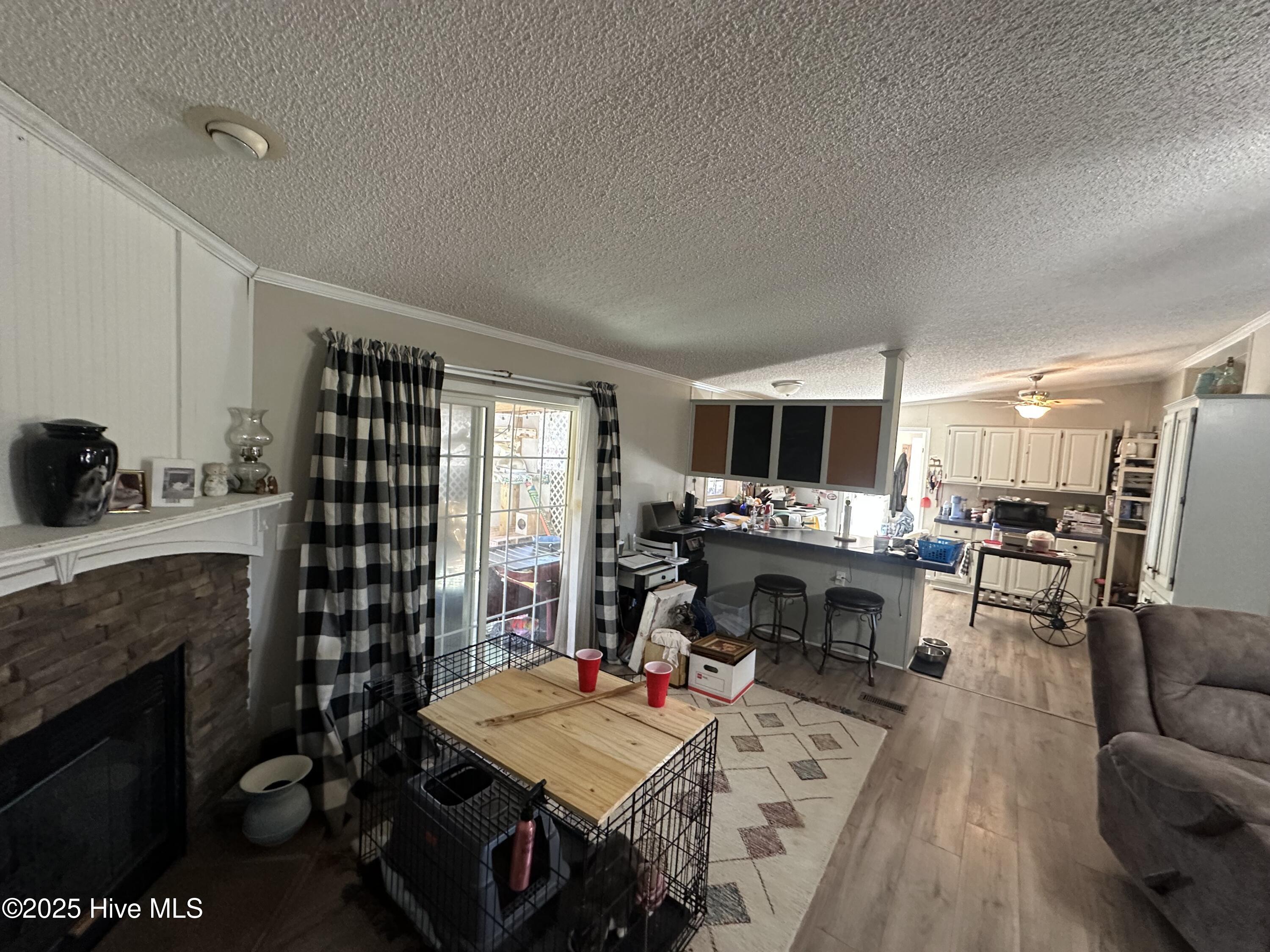 397 Spivey Road Hobbsville, NC 27946 - Photo 22 of 35 living room