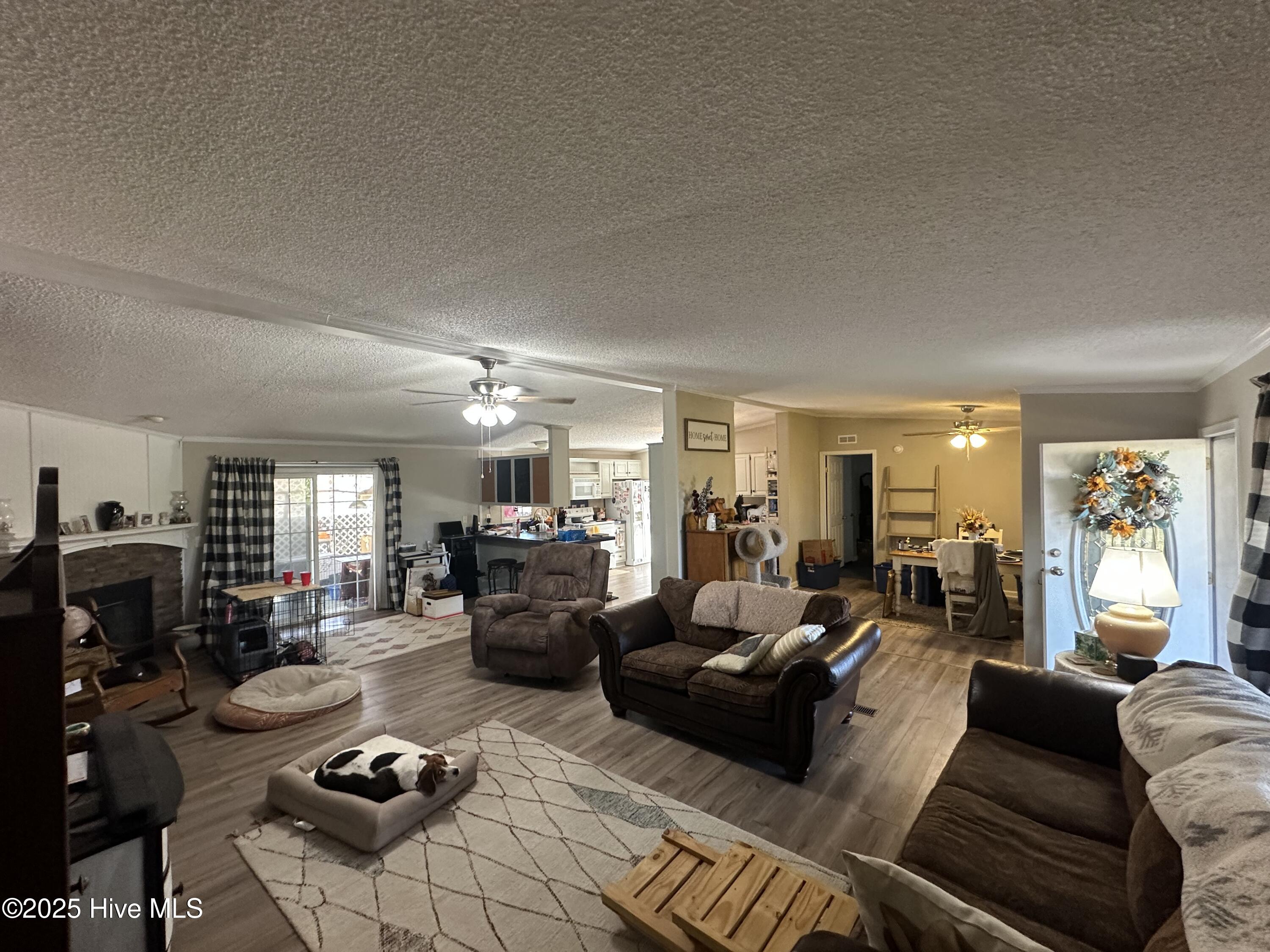 397 Spivey Road Hobbsville, NC 27946 - Photo 24 of 35 living room