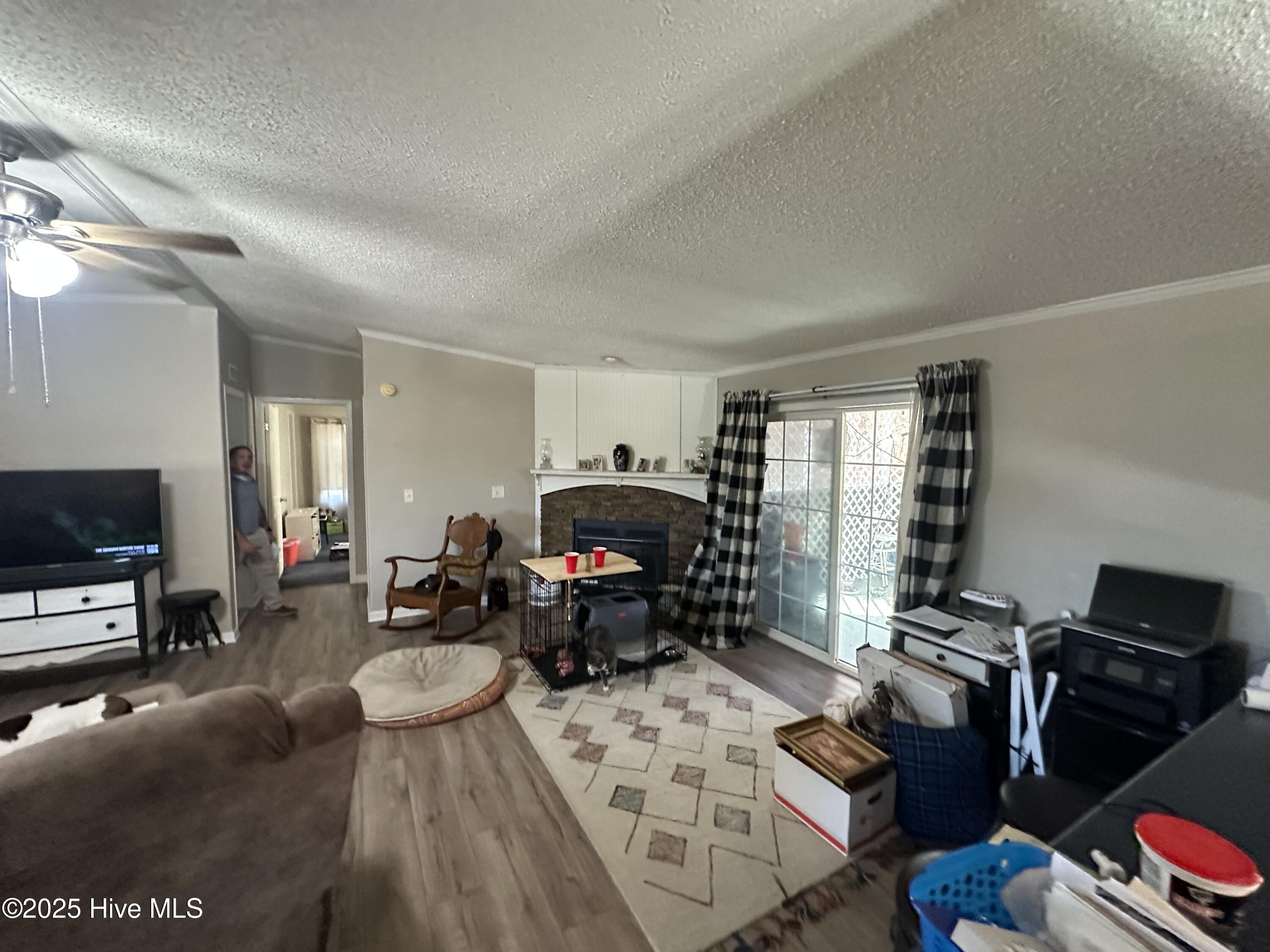 397 Spivey Road Hobbsville, NC 27946 - Photo 25 of 35 living room