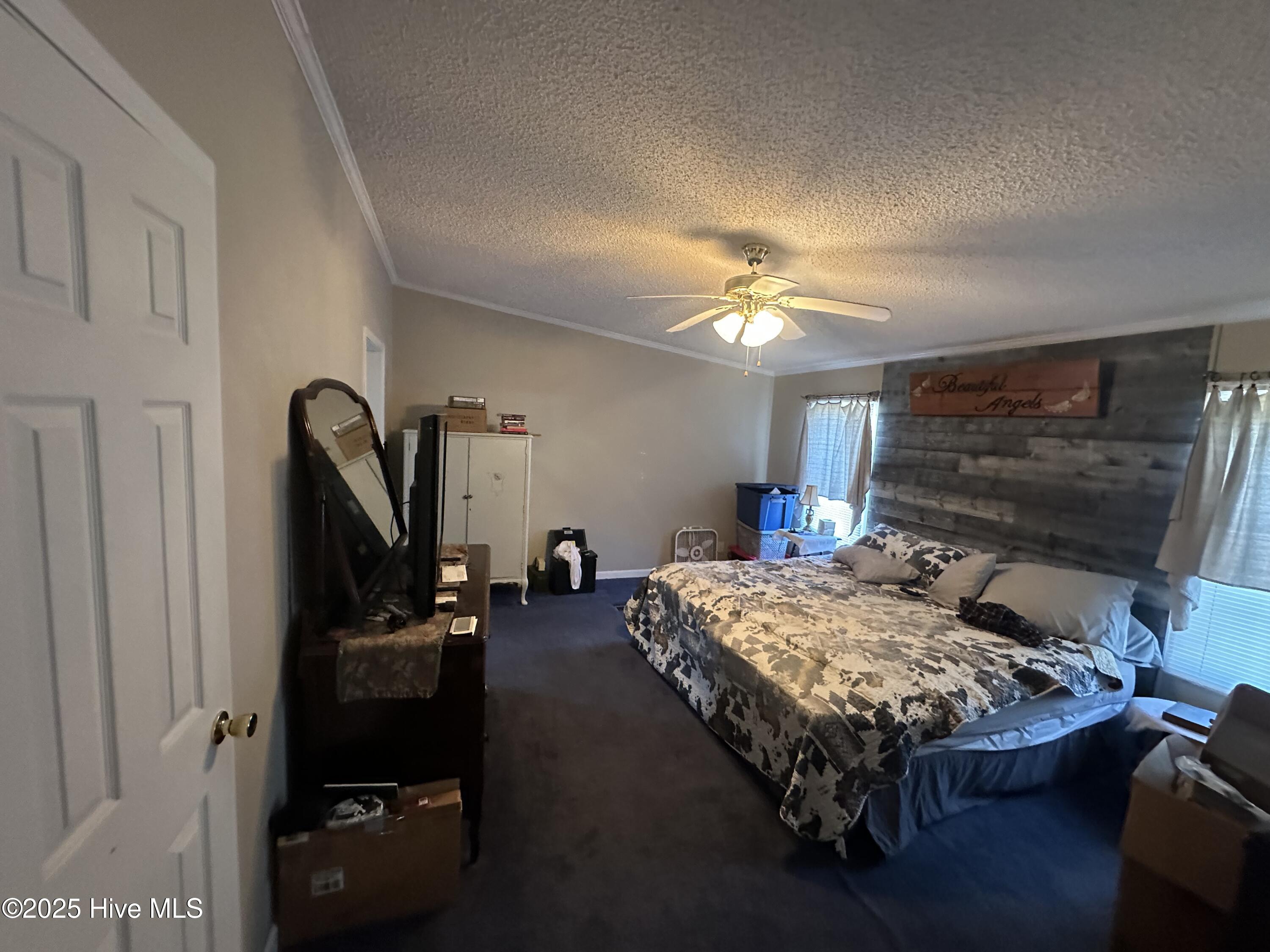 397 Spivey Road Hobbsville, NC 27946 - Photo 29 of 35 bedroom 1