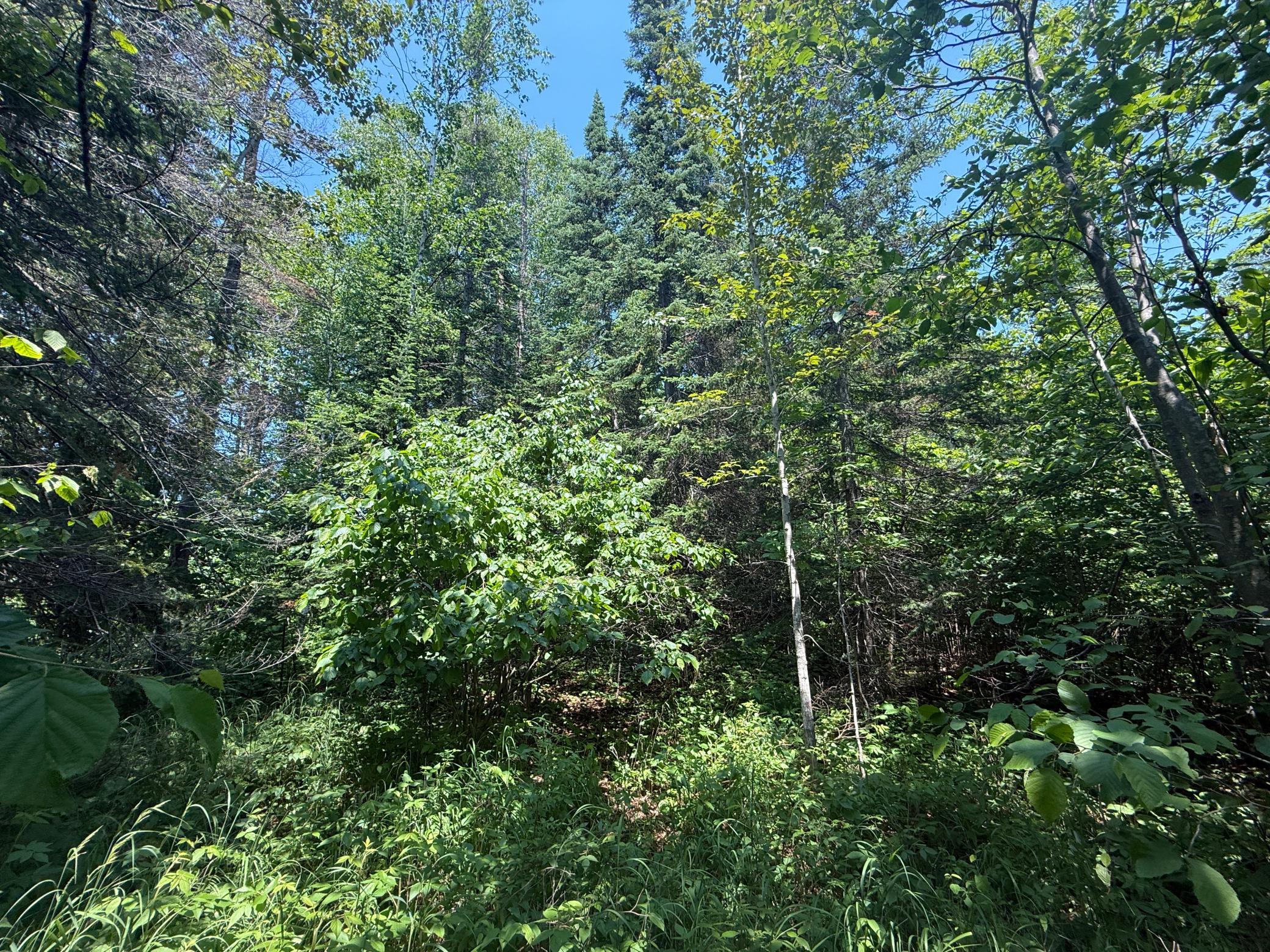 Two Scenic Drive Two Harbors, MN 55616 - Photo 15 of 26