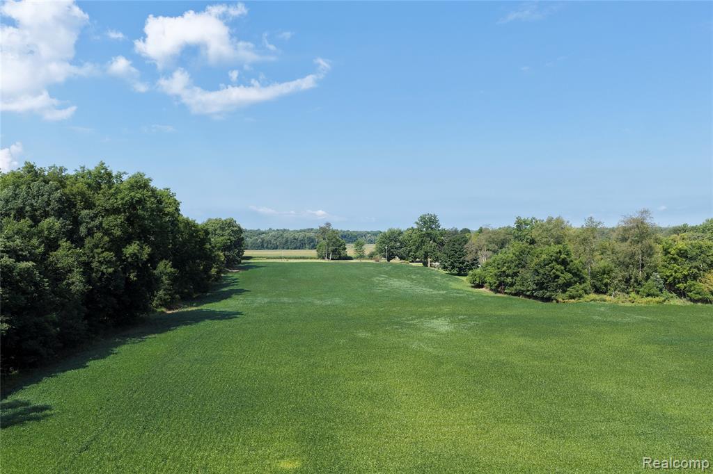 5889 North Allen Road Allen, MI 49227 - Photo 6 of 8 Gallery Image 6