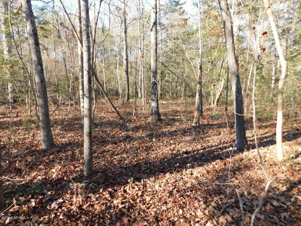26.89 Bynum Farm Road Pinetops, NC 27864 - Photo 25 of 43 25 (1024x768)