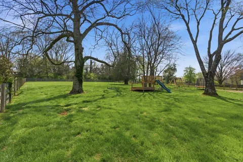 a view of garden