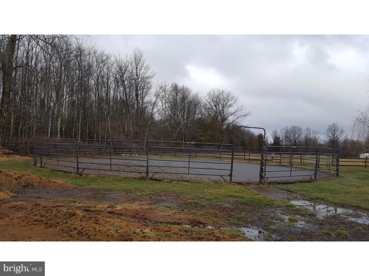 5664 Toll Gate Road Pipersville, PA 18947 - Photo 23 of 25 Side Yard