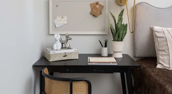 a table with chairs and potted plant on it