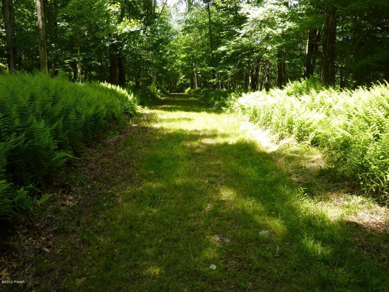 Lot 2 Layton Road Equinunk, PA 18417 - Photo 8 of 17