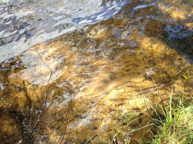 1-2 White Woods Road St. Germain, WI 54558 - Photo 2 of 18 Gallery Image 2