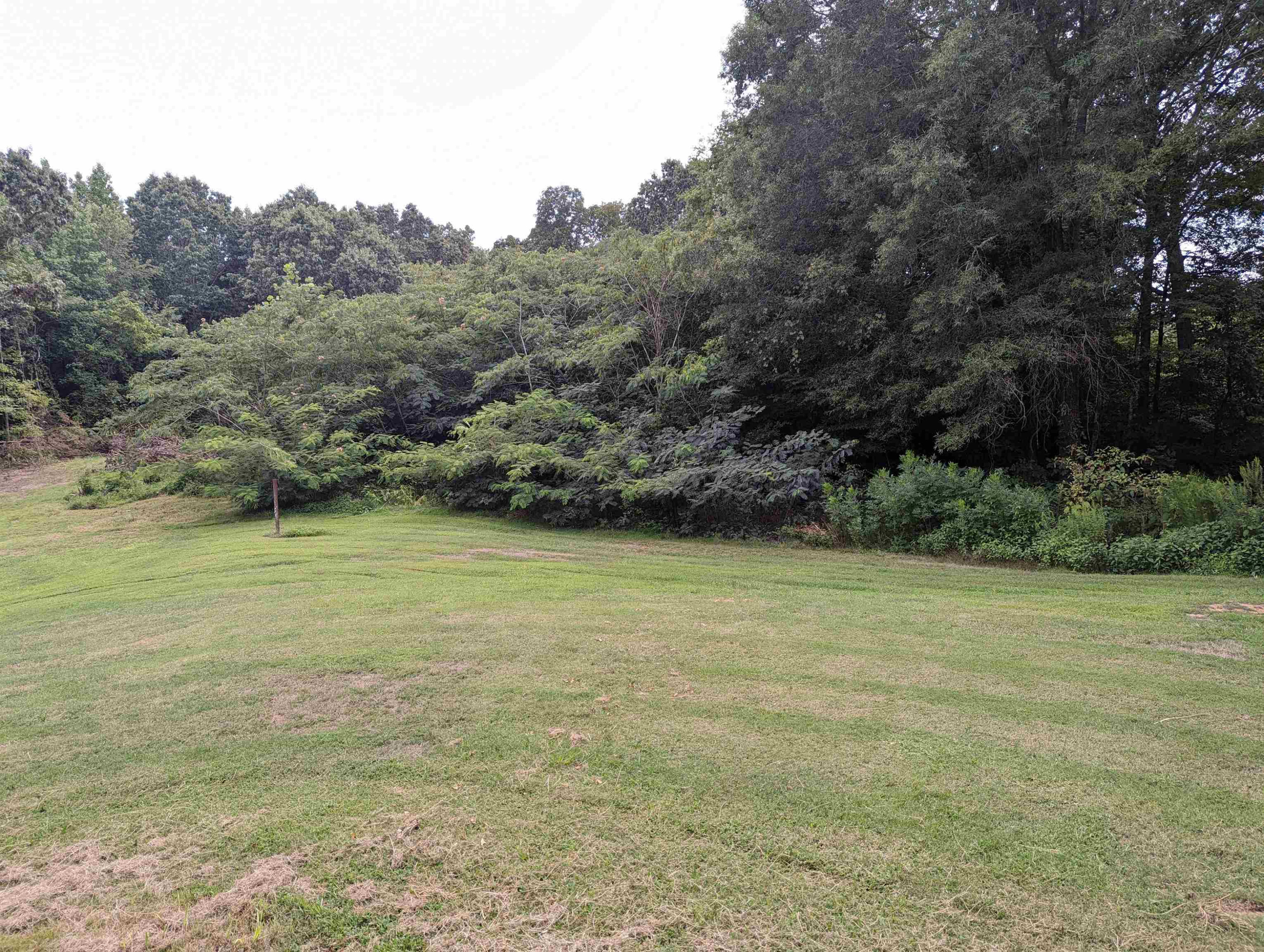 740 Warrens Bluff Road Lexington, TN 38351 - Photo 23 of 24 Photo 23
