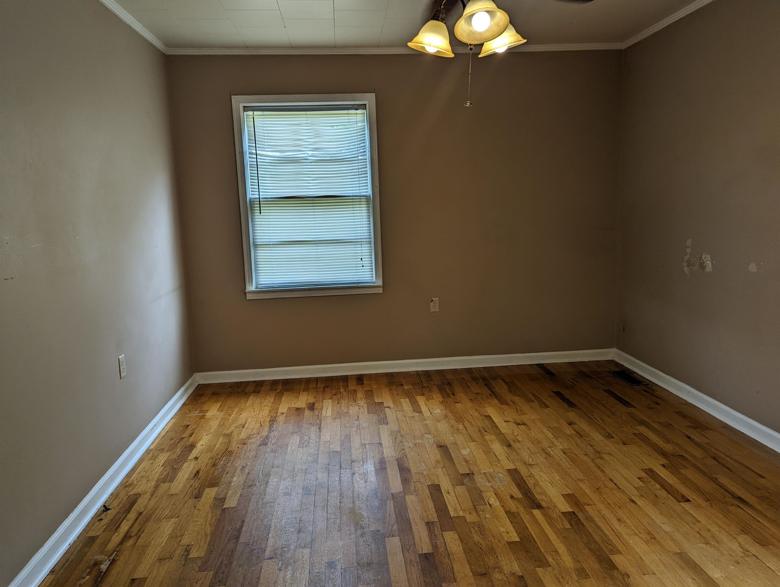 740 Warrens Bluff Road Lexington, TN 38351 - Photo 9 of 24 Photo 9