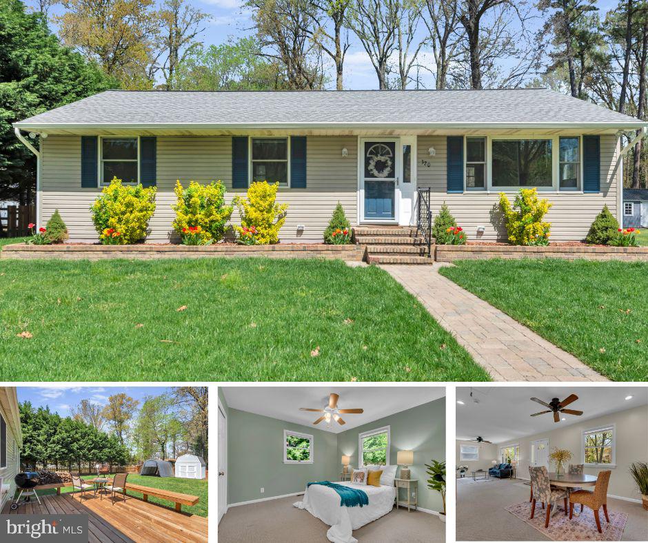 320 McKay Road Stevensville, MD 21666 - Photo 1 of 48 front view of a house with a yard