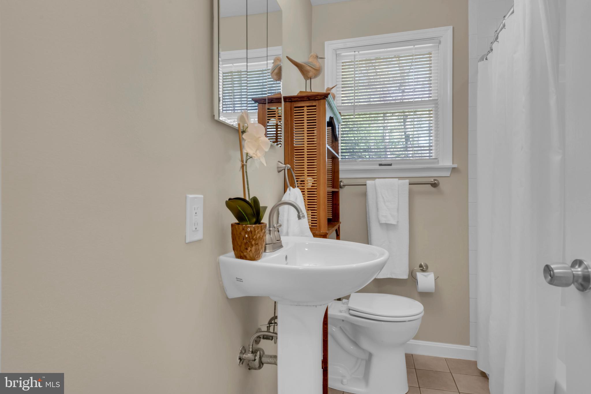 320 McKay Road Stevensville, MD 21666 - Photo 25 of 48 a bathroom with a sink a toilet and mirror