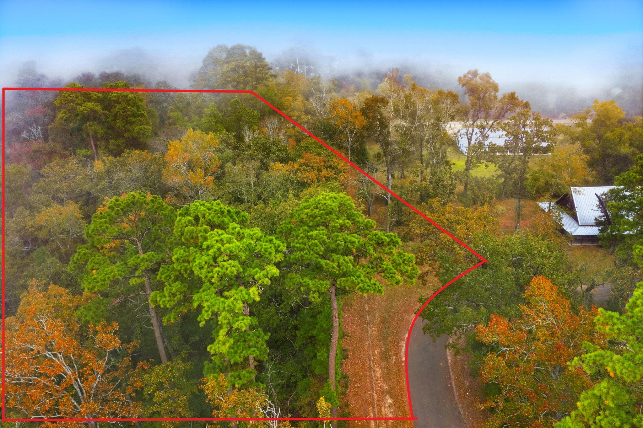 0 Redbud Ridge Onalaska, TX 77360 - Photo 3 of 14 a view of a lake