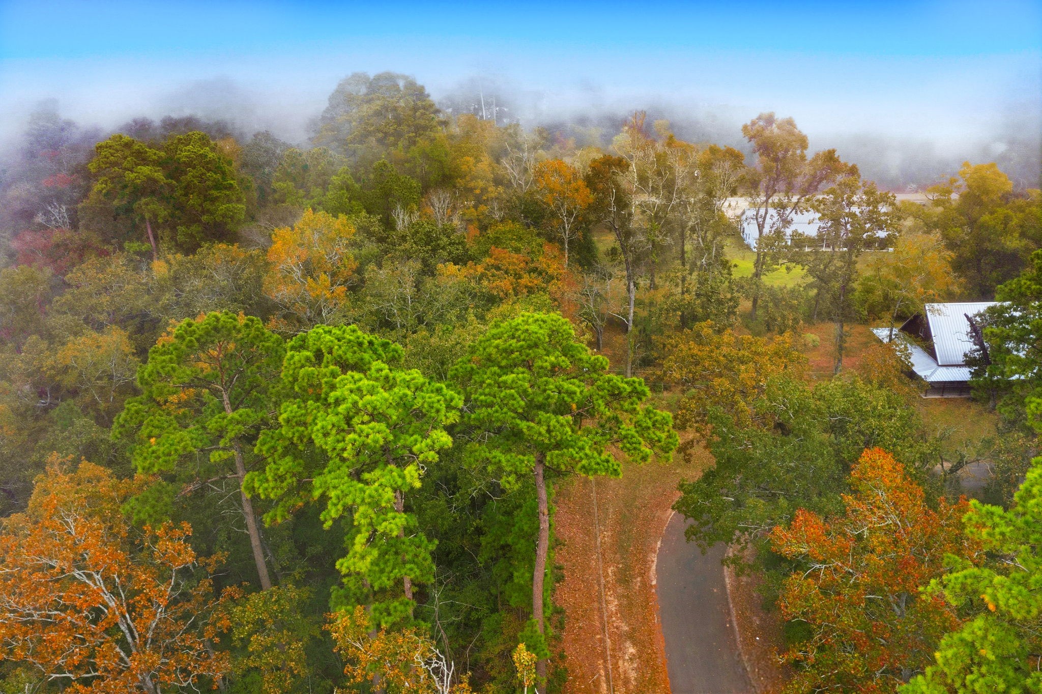 0 Redbud Ridge Onalaska, TX 77360 - Photo 4 of 14 a view of a houses with a lake view