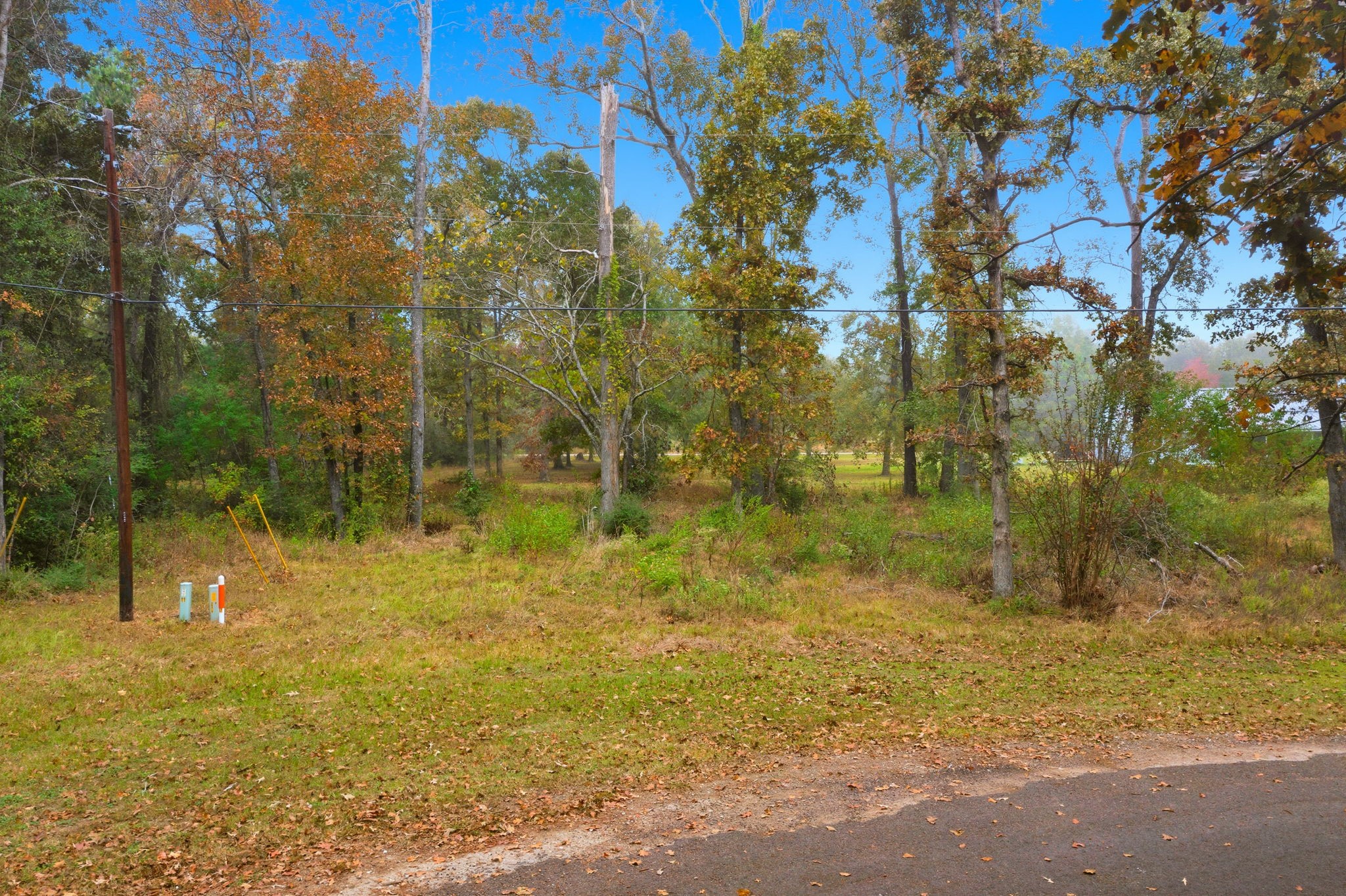 0 Redbud Ridge Onalaska, TX 77360 - Photo 8 of 14 a view of a pathway both side of yard