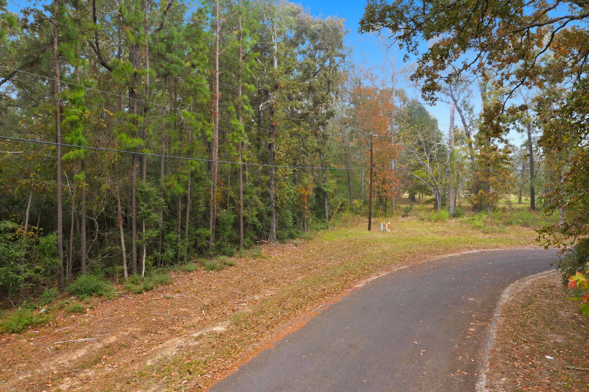 0 Redbud Ridge Onalaska, TX 77360 - Photo 10 of 14 a view of a yard with plants and trees