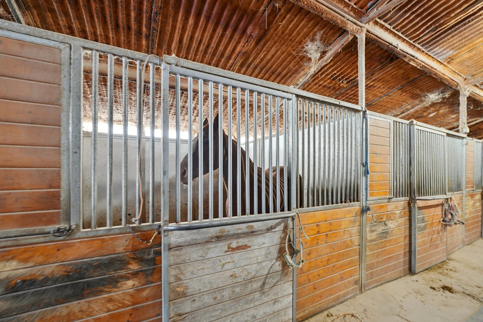30048 South Klemme Road Beecher, IL 60401 - Photo 8 of 28 a view of wooden balcony