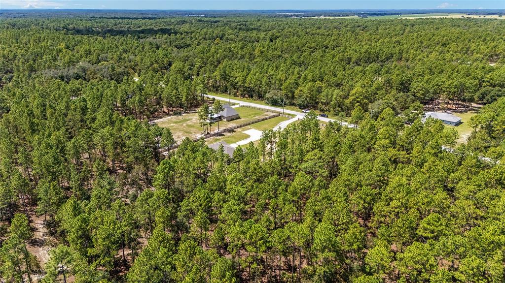 8821 Southwest 129th Terrace Road Dunnellon, FL 34432 - Photo 47 of 67 Gallery Image 47