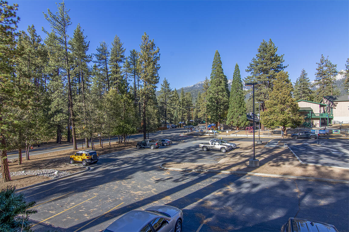 26770 Idyllwild Road Idyllwild, CA 92549 - Photo 30 of 52 a view of a park with tree in the background
