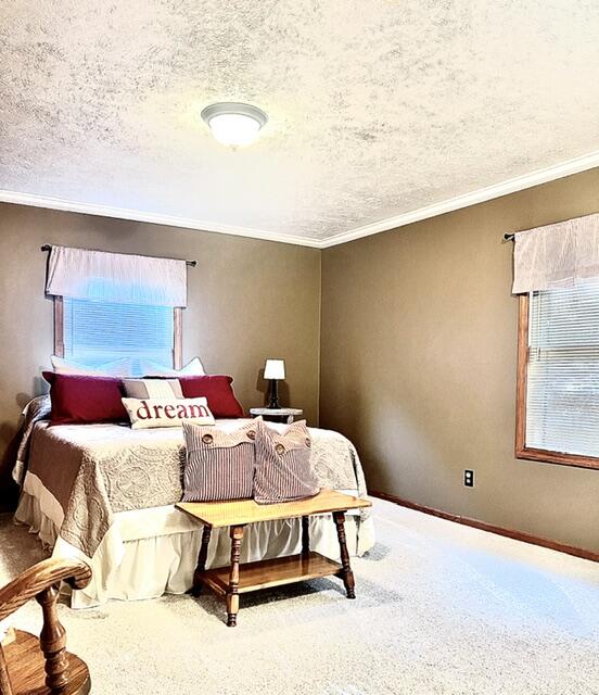 18610 Highway 86 Three Rivers, MI 49093 - Photo 86 of 98