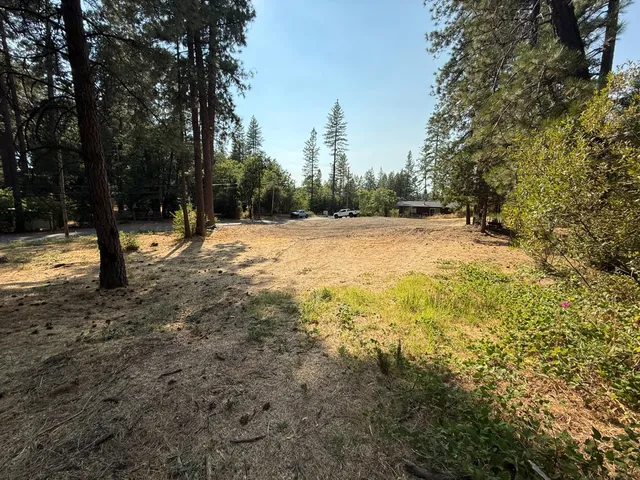 a view of empty space and trees all around