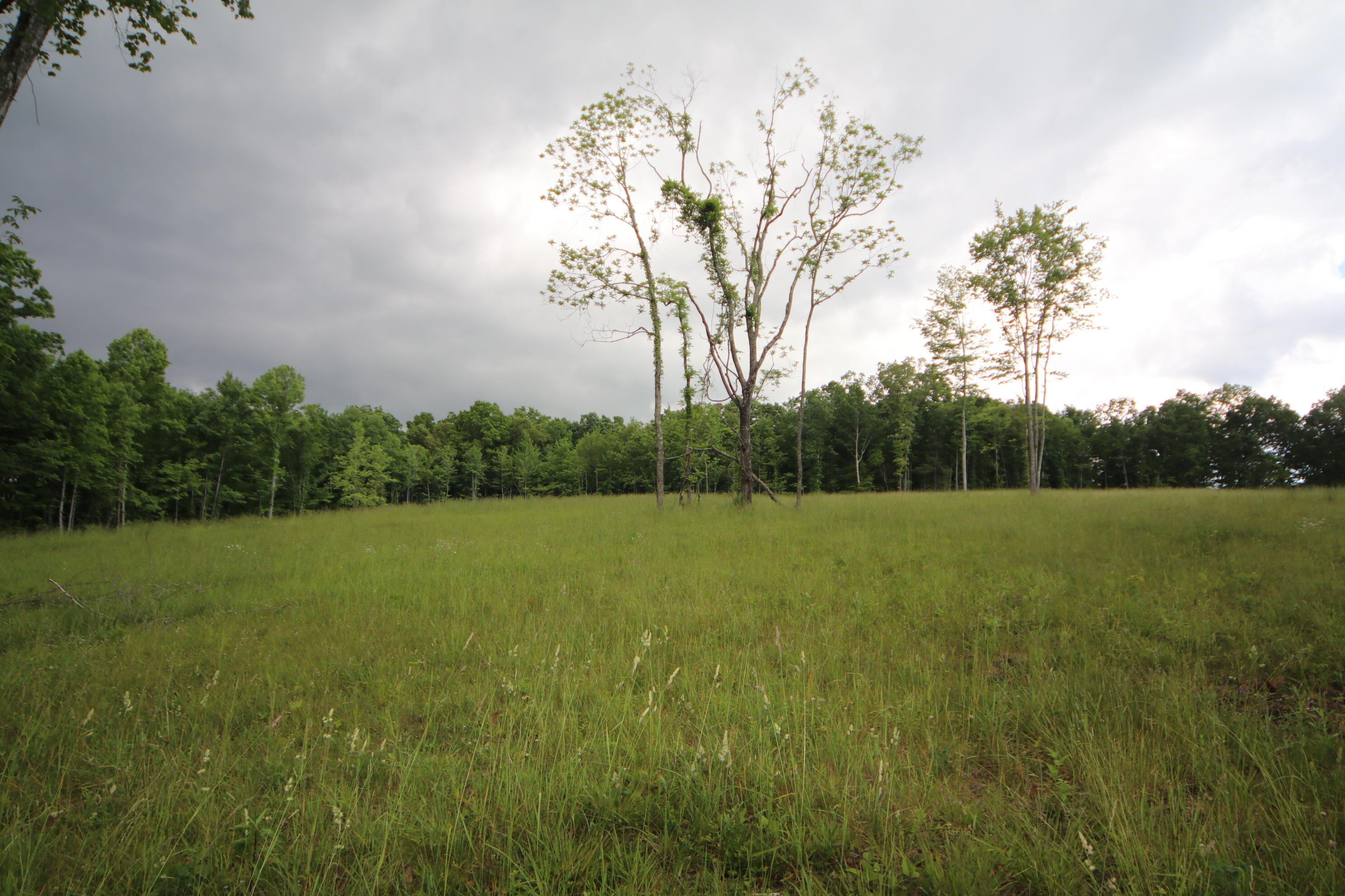Louvaine Road Jamestown, TN 38556 - Photo 1 of 4 IMG_9019