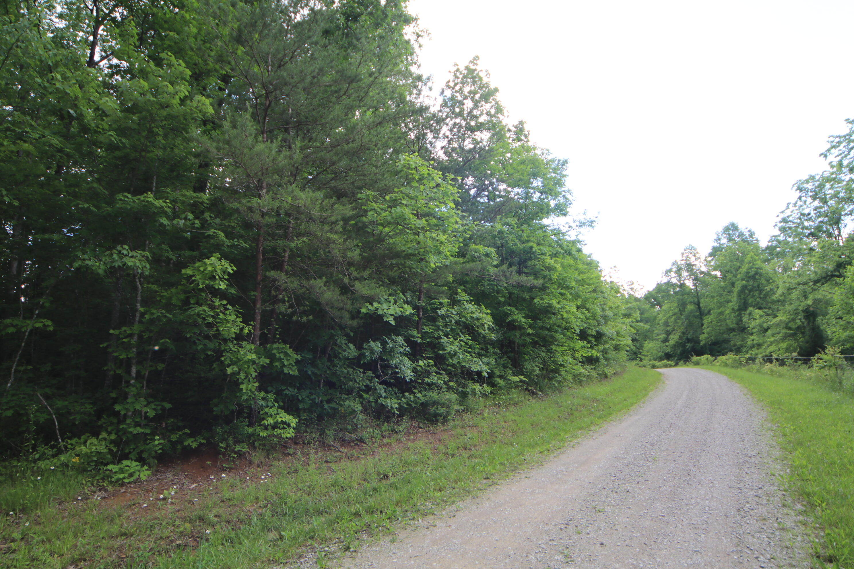 Louvaine Road Jamestown, TN 38556 - Photo 3 of 4 IMG_9025