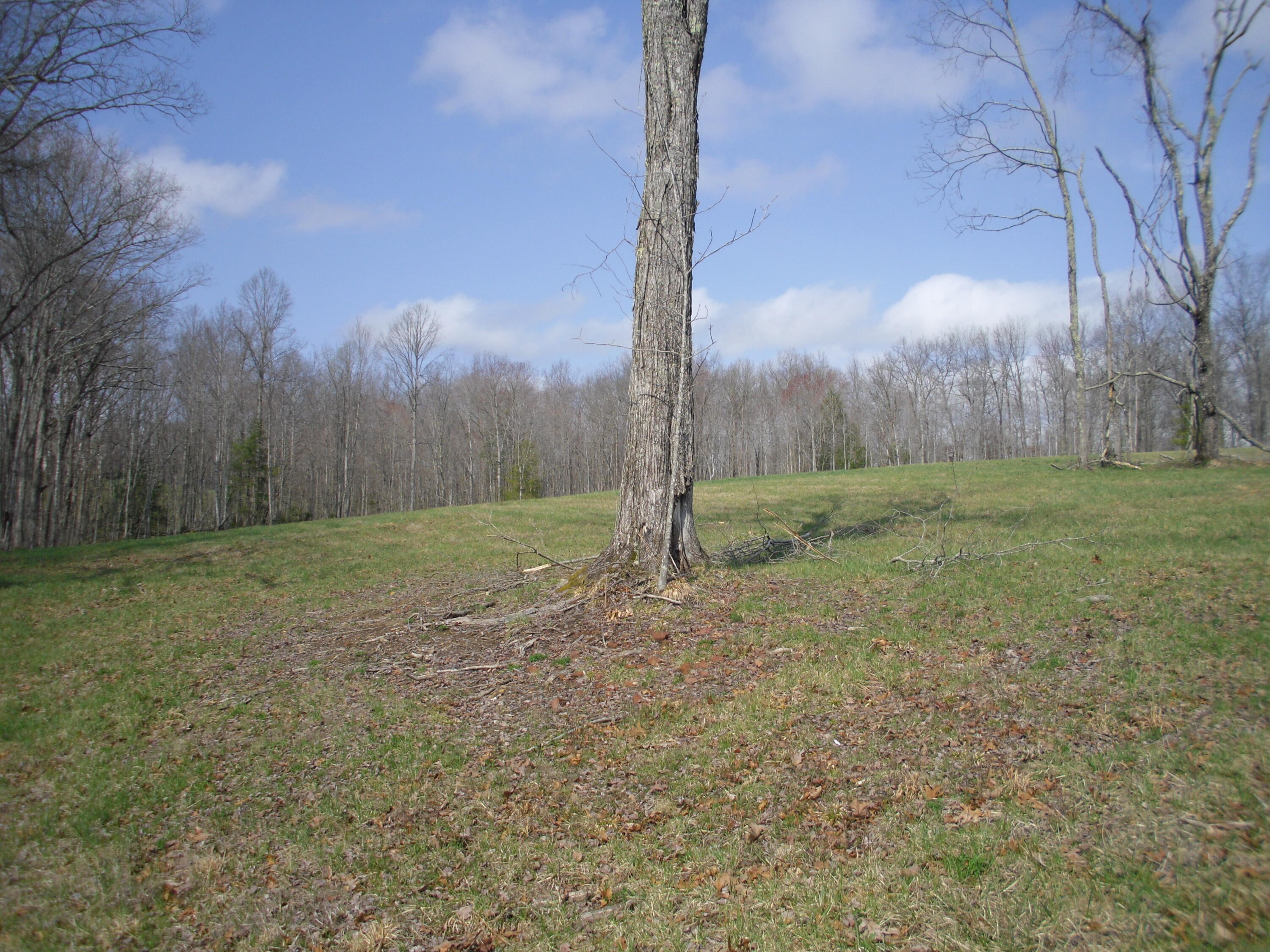 Louvaine Road Jamestown, TN 38556 - Photo 4 of 4 SAM_3070