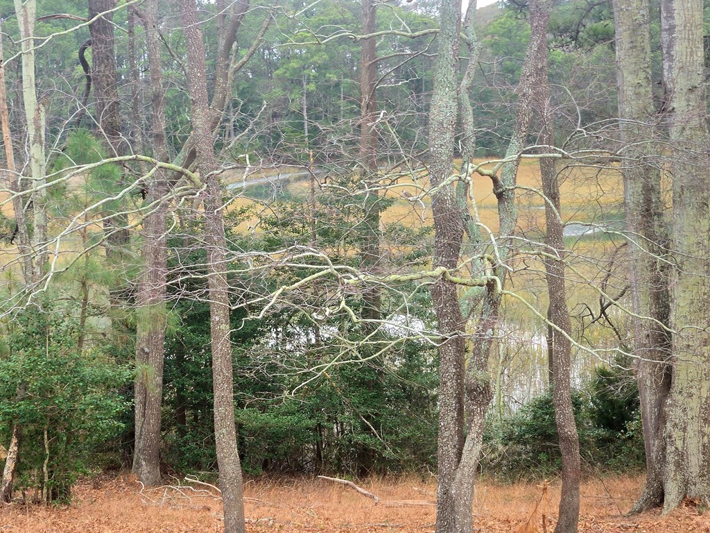 7472 Seaside Road, Unit 3 PAR Cape Charles, VA 23310 - Photo 20 of 35